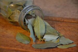 leaves in jar