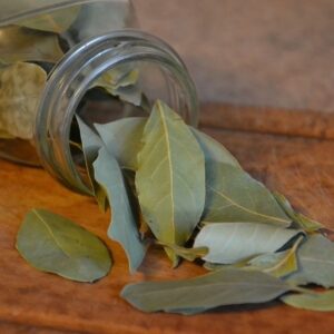 leaves in jar